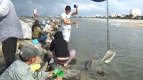 Độc Đáo Câu Cá Đối Bằng Chai Nhựa Trên Biễn Đà Nẵng - Fishing with water bottles