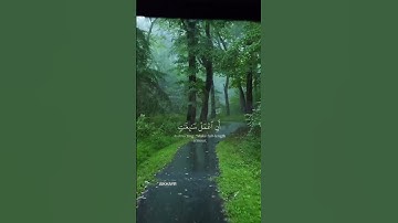 سورة سبأ - القارئ ناصر القطامي - تلاوة رائعة😔❤️‍🩹