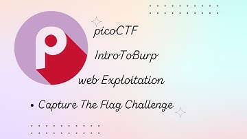 IntroToBurp | Web Exploitation | picoCTF 2024 Bangla | Hindi