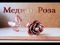 Медная роза