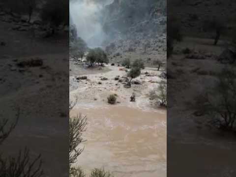 باران بهاری