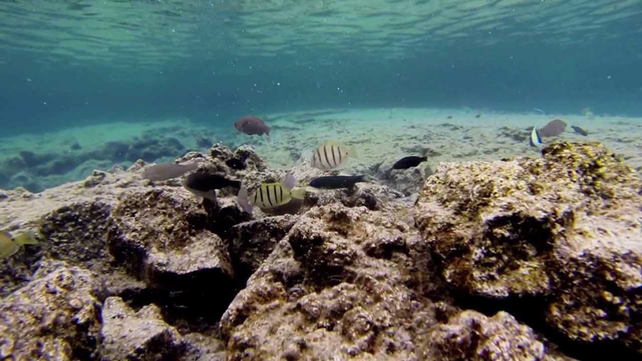kapoho tide pools snorkeling big island hawaii youtube kapoho tide pools tide chart