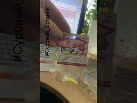 #Цитокининовая_Паста #EffectBio Биостимулятор для размножения и цветения у орхидей EffectBio.ru