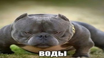 Lightning 4-2 Full Level