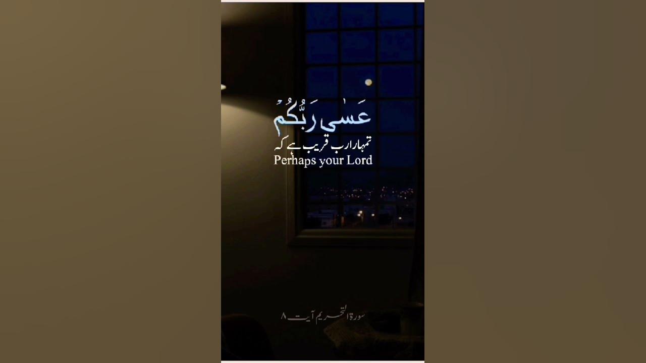 sukun-dene-wala-tilawat-quran-youtube