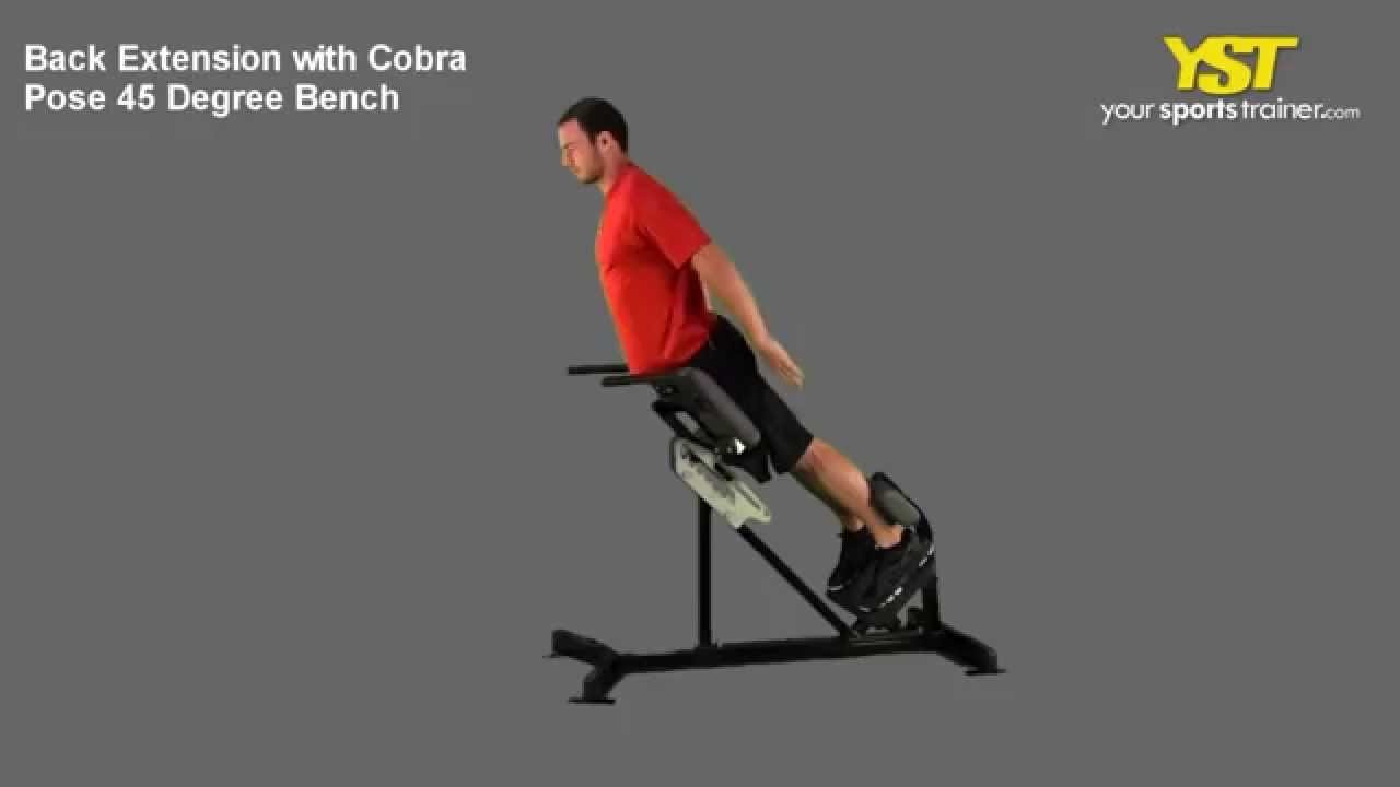 Cobra Extension Pose Cobra Extension Pose