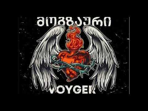 მოგზაური - მთვარე / Voyager - The moon