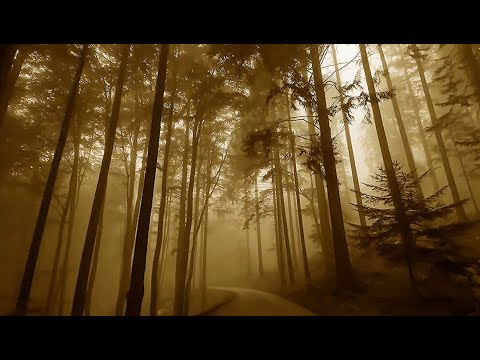 DITA REDRUM ╺╸ XIII (Fan made video by Benzopilero)