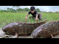 Amazing hand fishing videos  Best Fish Hunting Video in open field Fisherman Fishing Fish