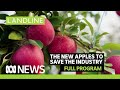 Landline  new apple varieties to tempt us  exporting lamb to india  abc news indepth