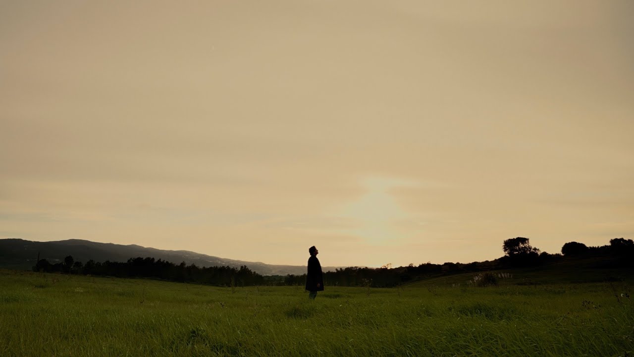 Salvador Seixas - Foi por ti