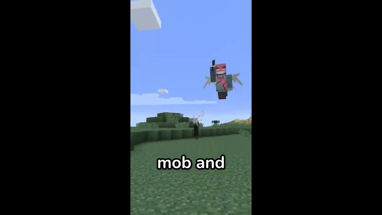 Minecraft S SECRET Command 