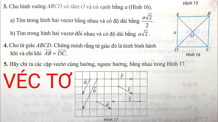 Giải bài tập sách giáo khoa toán 10 hình học năm 2024