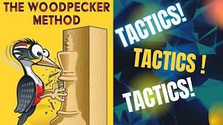 THE WOODPECKER METHOD PART 1 (1 TO 100) PUZZLES