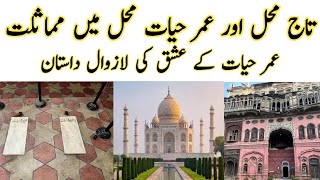 Umar/Omar Hayat Mahal Chiniot | Mysterious Palace History | Chiniot Series Vlog #5 | [4KHD]