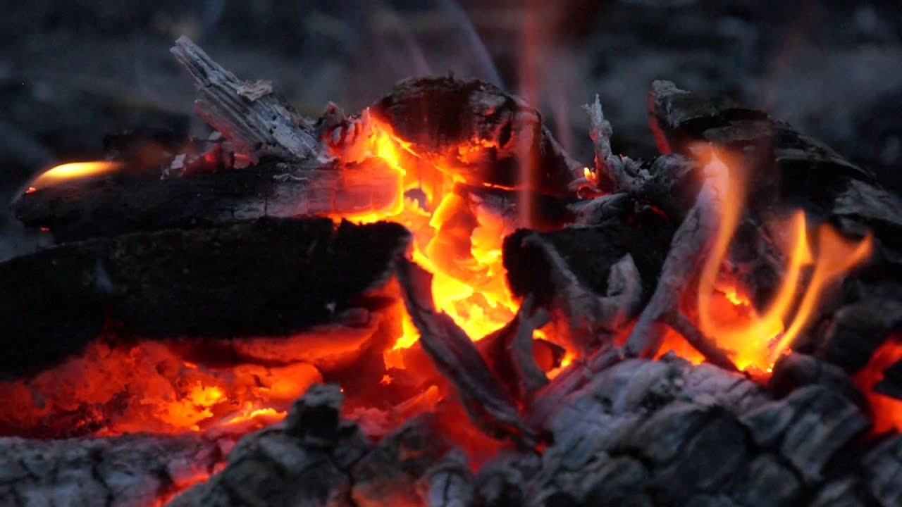 Догорающий костер. Костер горит. Догорающий костер. Видео где горит костер. Огонь костер.