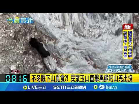 民眾玉山直擊台灣黑熊叼山羌出沒!冬天不冬眠還下山覓食?專家籲見到黑熊「冷靜離開勿逗留」避免人熊衝突|三立新聞網 SETN.com