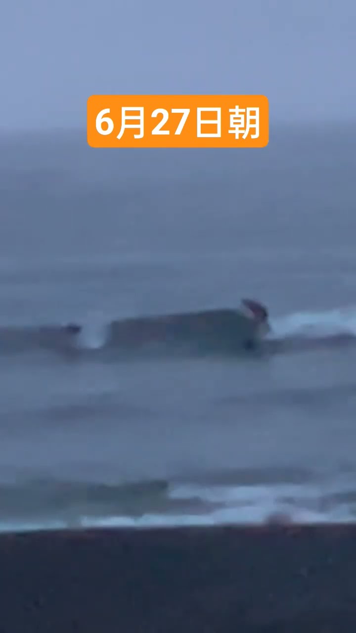 Waves] Tsujido Beach front wave report #shorts #BeginnerSchool