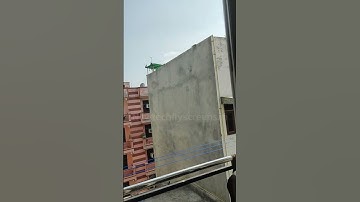 Mosquito Mesh Guarantees 100% Protection #mosquitomeshdoors