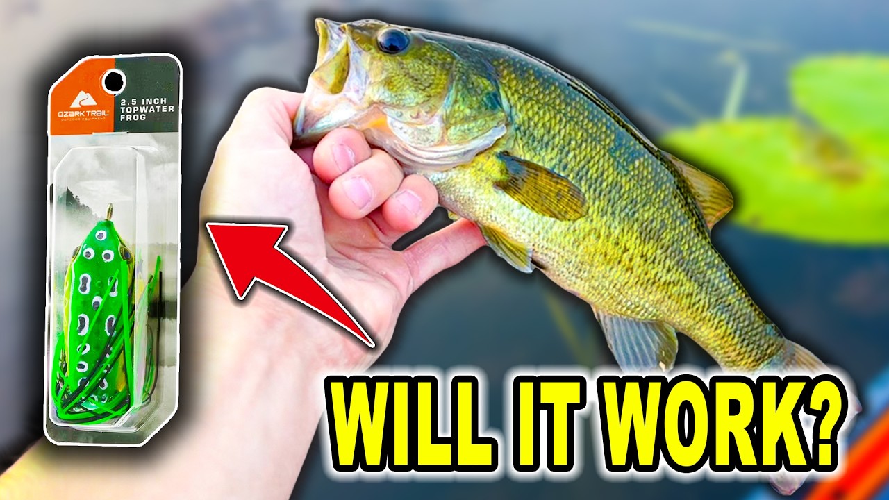 Testing OZARK TRAIL Topwater FROG! ($2 Walmart Lure)