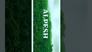 name art status video editing | name art video editing alight motion #shorts #short #viral #trending screenshot 4