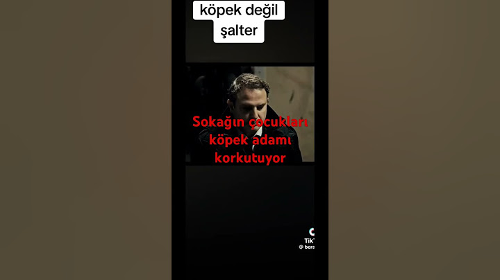 Sokağın çocukları köpek değil şalter