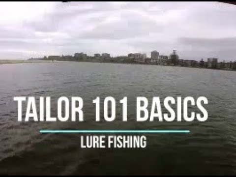 Tailor on Lures: 101 Beginners Guide Estuary and Beach Fishing 