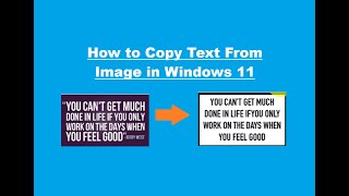 How to Copy Text From Image in Windows 11