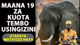 Maana 19 Za Kuota Tembo Usingizini / Ukimuona Usingizi Utapata Matatizo Hapa/Sheikh Khamisi Suleyman