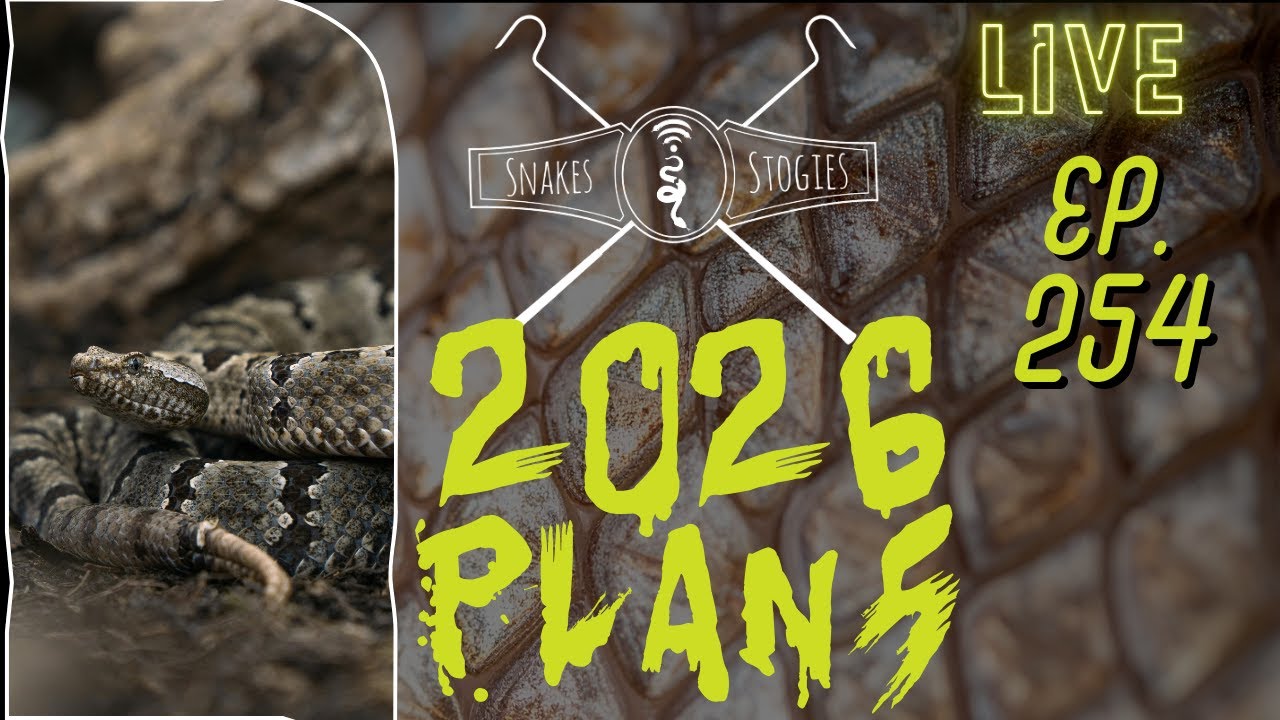2026 Plans | Snakes & Stogies Ep. 254