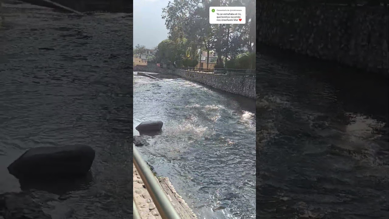 Excelente Domingo 🍃