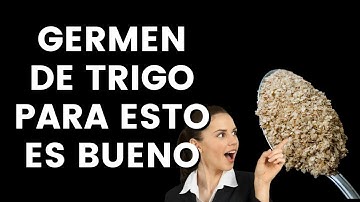 Germen de trigo propiedades nutricionales 🧡 todos los beneficios del germen de trigo para la salud