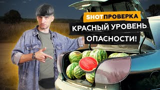 Полосатый рейд. Как выбрать вкусный арбуз | SHOT ПРОВЕРКА