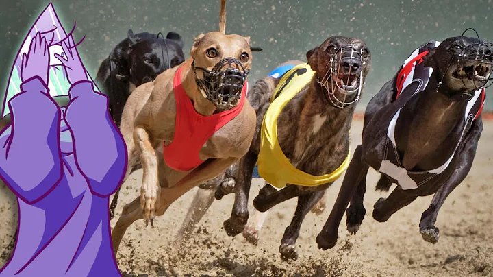 The Disgusting Practices of the Greyhound Racing Industry | Prism of the Past - DayDayNews
