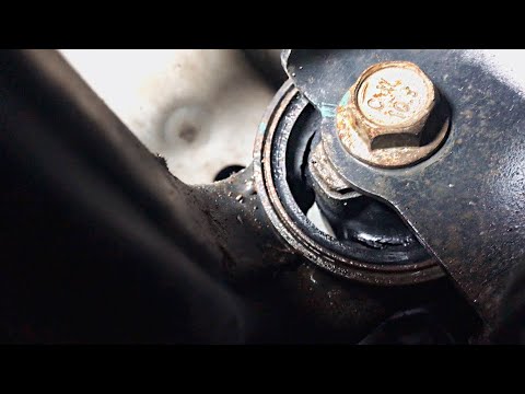 Жыныс: Барлық құпиялар мен жауаптар Анна Чапманмен жыныстық қатынас