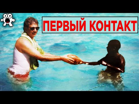 Video: Пи натурал санбы?