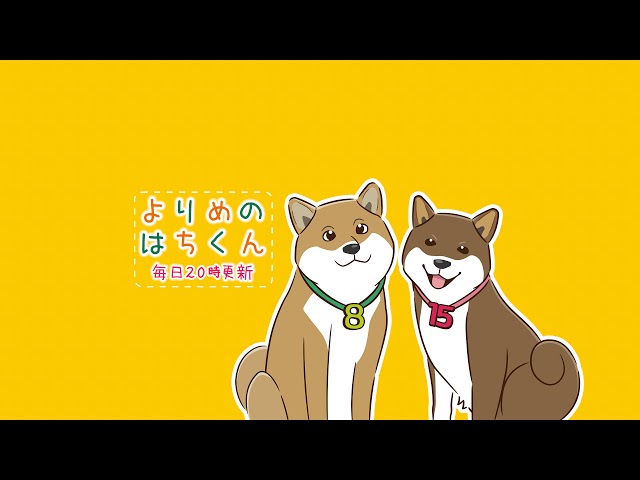 よりめのはちくん。 のライブ配信