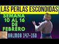 Busquemos PERLAS ESCONDIDAS. para esta Semana _10 al 16 de febrero  - Salmos: 147 - 150