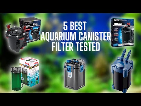 Video: Nejlepší externí filtr do akvária zkontrolován