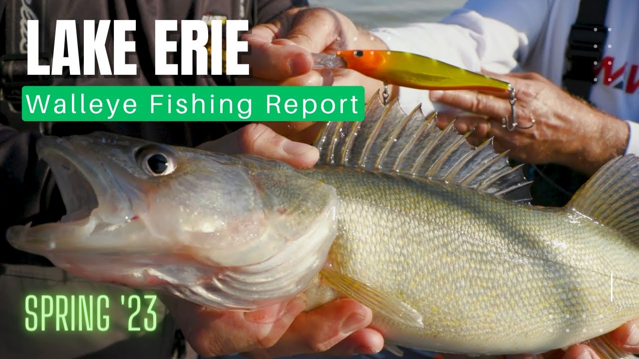 Lake Erie Walleye Fishing Report out of Monroe 