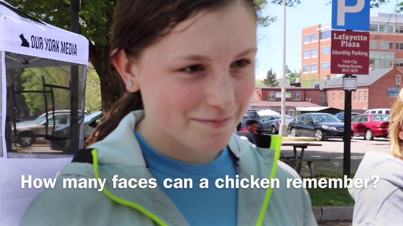 AASCPA York Lancaster Harrisburg Animal Advocates at Go Green York 2019