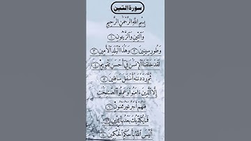 SURAH AL TEEN سورة تين Beautiful Voice Quran Tilawat #egzonibrahimi #quran #surahteen #qurantilawat