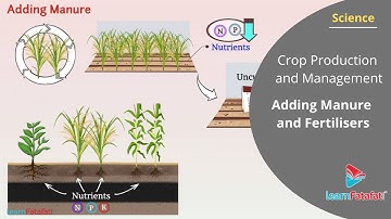 Crop Production and Management Class 8 Science - Adding Manure and Fertilisers