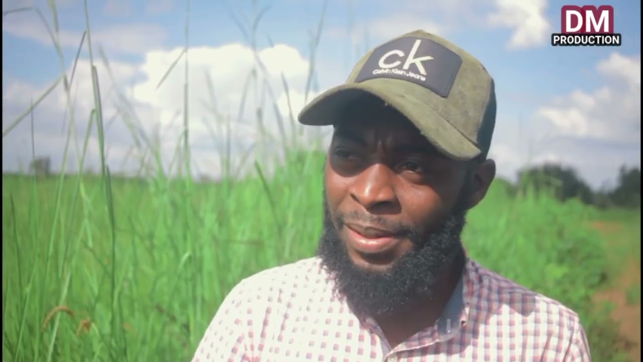 Avantiries part(1)-movie zetu