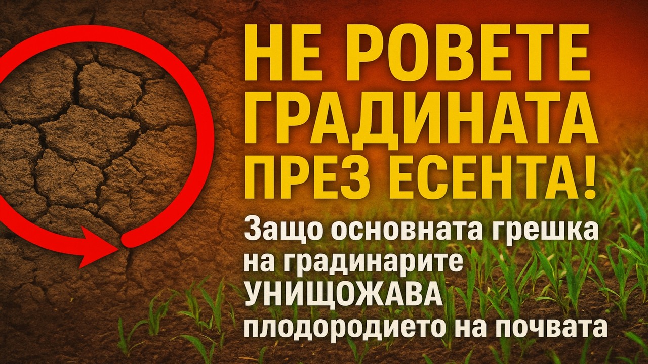 НЕ РОВЕТЕ ГРАДИНАТА ПРЕЗ ЕСЕНТА! 🚫 Защо основната грешка на градинарите УНИЩОЖАВА плодородието на