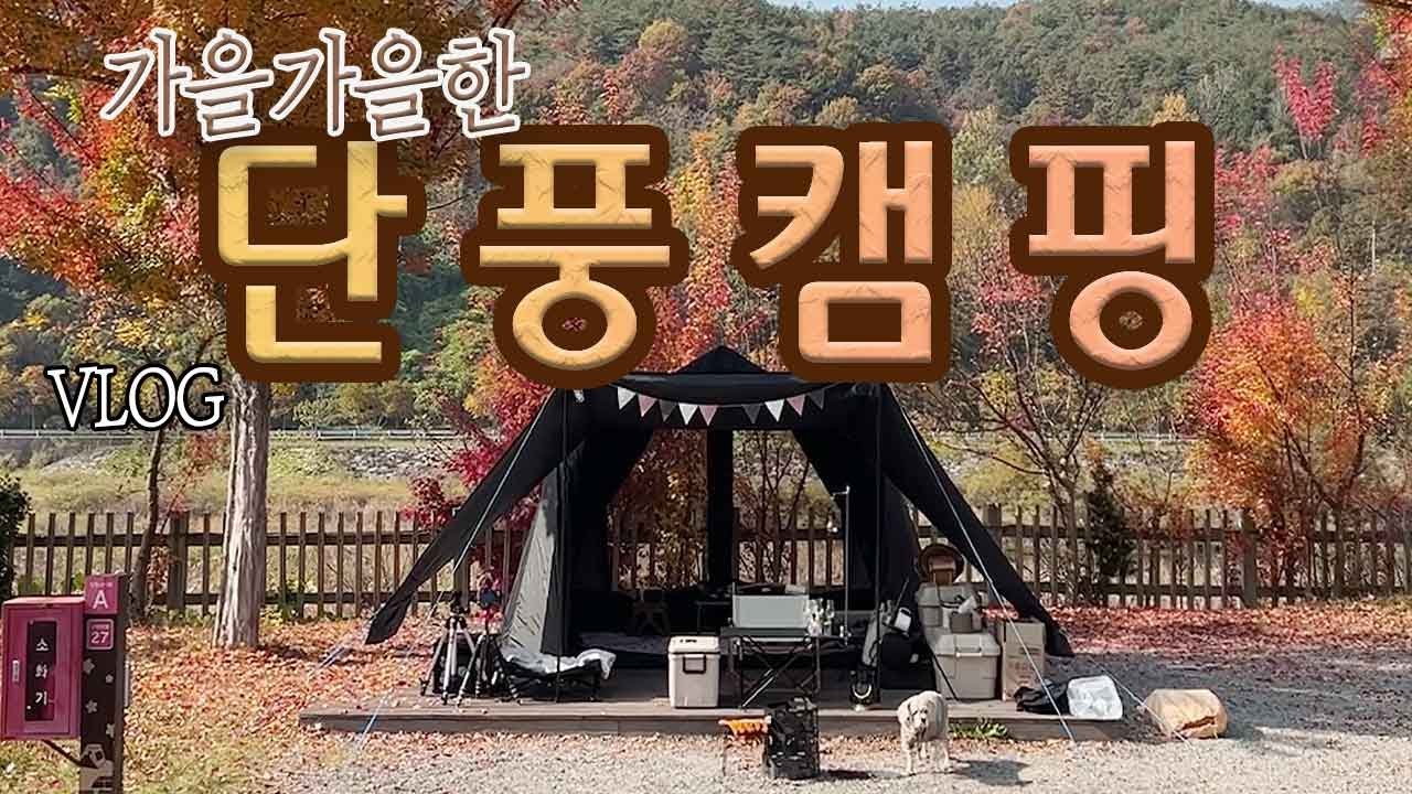 [VLOG] 짧아서 아쉬운 가을 풍경 만끽하기! /완벽한 단풍 캠핑 / 깜짝 손님 '하니' 와 함께하는 가을캠핑 / 순천 주암오토캠핑장