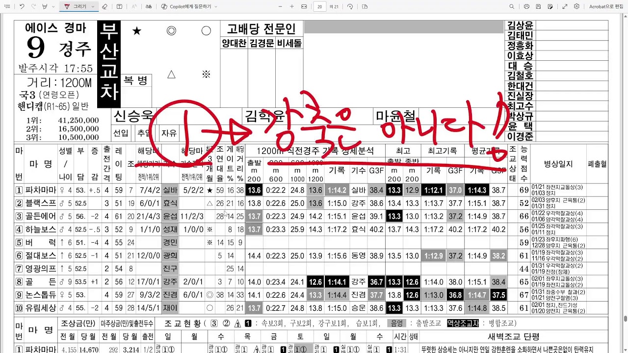 2월 13일 금요일 경마 분석!
