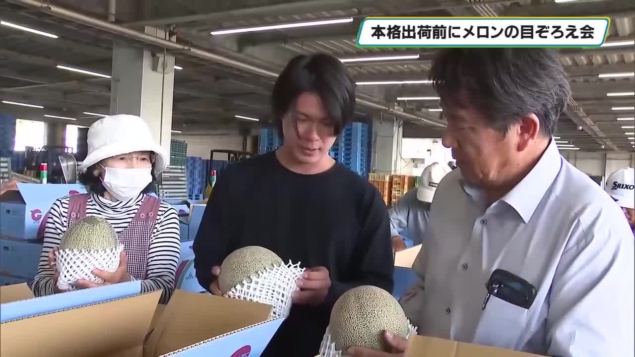 Melonさま専用 A Sweet Scent Heralds Early Summer: Melon Quality Inspection Held
