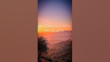 قرآن كريم 🌿 سوره غافر 🌿 الشيخ محمد الفقيه #راحة_نفسية