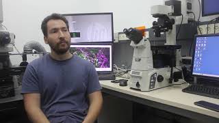 3D Printing of iPS-Derived  Cardiac Tissue - an Interview with Dr. Edri